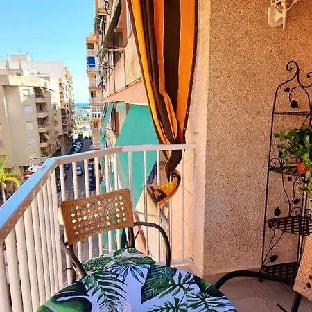 Sunflower Santa Pola